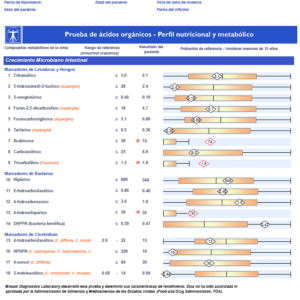 organic acid test (oat)