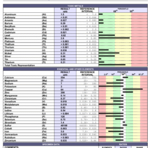hair metal/mineral analysis